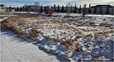 IMG_1993-Airdrie.jpg