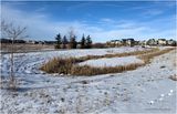 IMG_2130-Airdrie.jpg