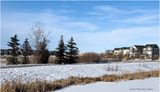 IMG_2130-2-Airdrie.jpg