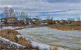 IMG_2173-Airdrie.jpg