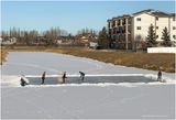IMG_2215-Airdrie.jpg
