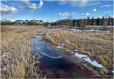 IMG_2277-Airdrie.jpg