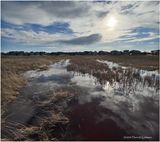 IMG_2281-Airdrie.jpg