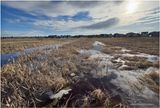 IMG_2289-Airdrie.jpg