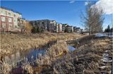 IMG_2321-Airdrie.jpg