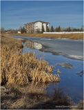 IMG_2353-Airdrie.jpg