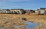 IMG_2391-Airdrie.jpg