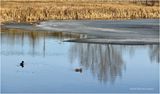IMG_2396-Airdrie.jpg