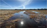 IMG_2411-Nose Creek.jpg