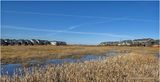 IMG_2420a-Airdrie.jpg