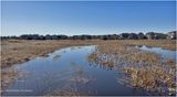 IMG_2463-Airdrie.jpg