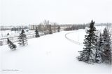 IMG_2542-Airdrie.jpg