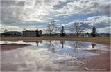 IMG_2579-Airdrie.jpg