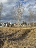 IMG_2620-Airdrie.jpg