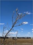 IMG_3043-Airdrie.jpg