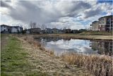 IMG_3123-Airdrie.jpg