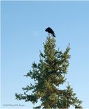 IMG_3141.jpg