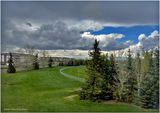 IMG_3277-Airdrie.jpg