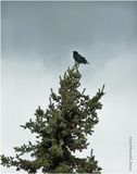 IMG_3287.jpg