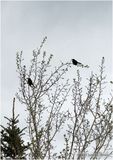 IMG_3288.jpg