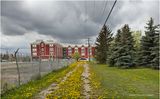 IMG_3303-Airdrie.jpg