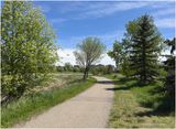 IMG_3384-Airdrie.jpg