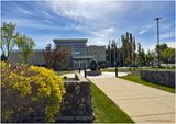 IMG_3428-Airdrie.jpg