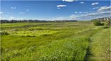 IMG_3463-Airdrie.jpg