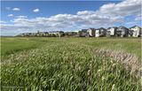 IMG_3469-Airdrie.jpg
