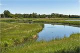 IMG_3559-Airdrie.jpg