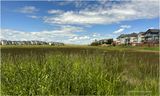 IMG_3703-Airdrie.jpg