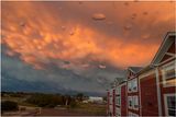 IMG_3721-Airdrie.jpg