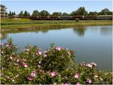 IMG_3735-Airdrie.jpg