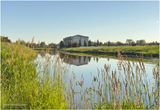 IMG_3770-Airidrie.jpg