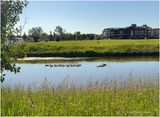 IMG_3774 2-Airdrie.jpg