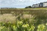IMG_3802-Airdrie.jpg
