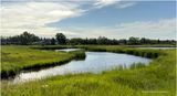 IMG_3821a-Airdrie.jpg