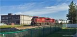 IMG_3827-Airdrie.jpg