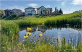 IMG_3856-Airdrie.jpg