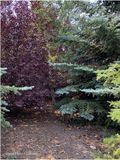IMG_3931-Airdrie.jpg