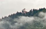 IMG_4457-Juneau.jpg