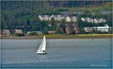IMG_4472-Juneau.jpg