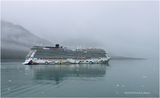 IMG_4841.jpg