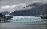 IMG_4900.jpg