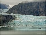 IMG_4905.jpg