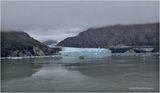 IMG_4935.jpg