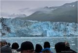 IMG_5264-Harvard Glacier.jpg