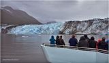 IMG_5285.jpg