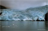 IMG_5304.jpg