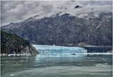 IMG_5590.jpg
